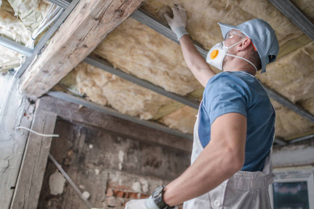 Best Types of Insulation in Dekal, IL