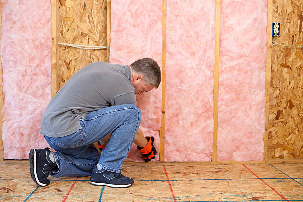 Best Energy Efficiency Solutions in Dekal, IL